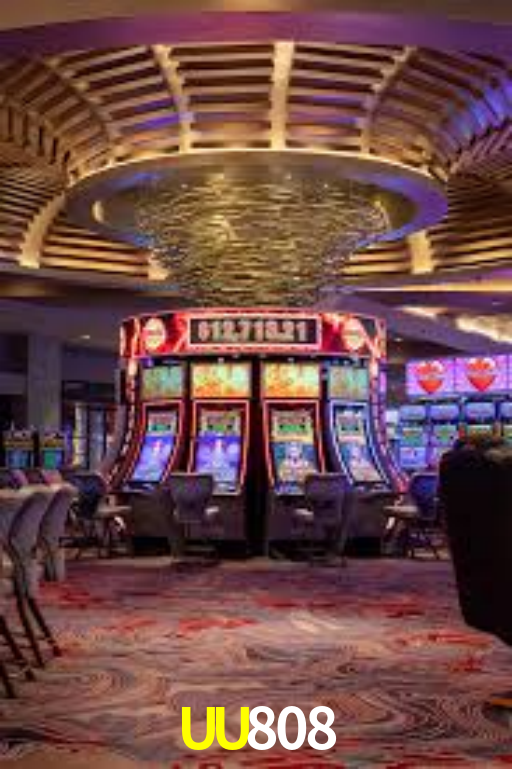 Interface Premium UU808